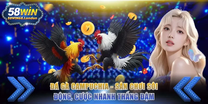 Đá gà Campuchia
