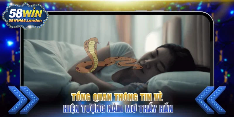 Tổng quan thông tin về hiện tượng nằm mơ thấy rắn