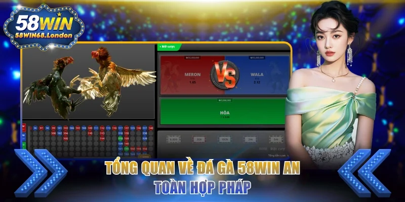 Tổng quan về đá gà 58WIN an toàn hợp pháp
